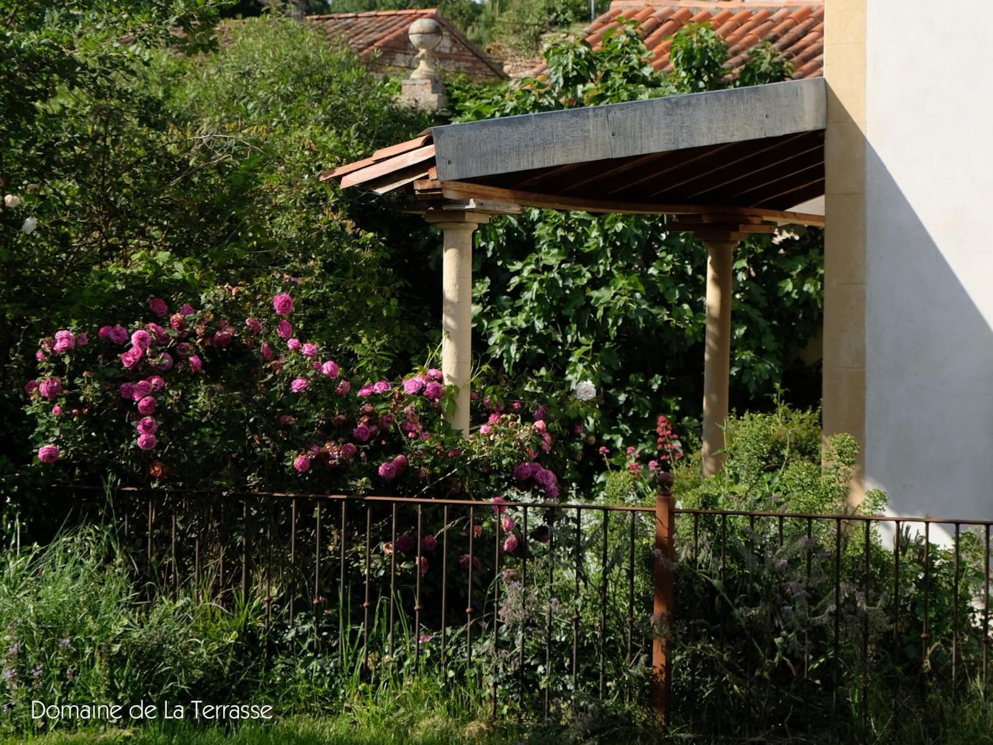 Domaine De La Terrasse Apartman Carbonne Kültér fotó