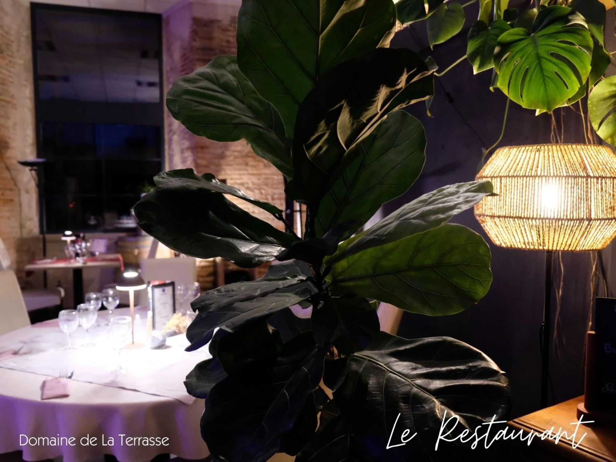 Domaine De La Terrasse Apartman Carbonne Kültér fotó